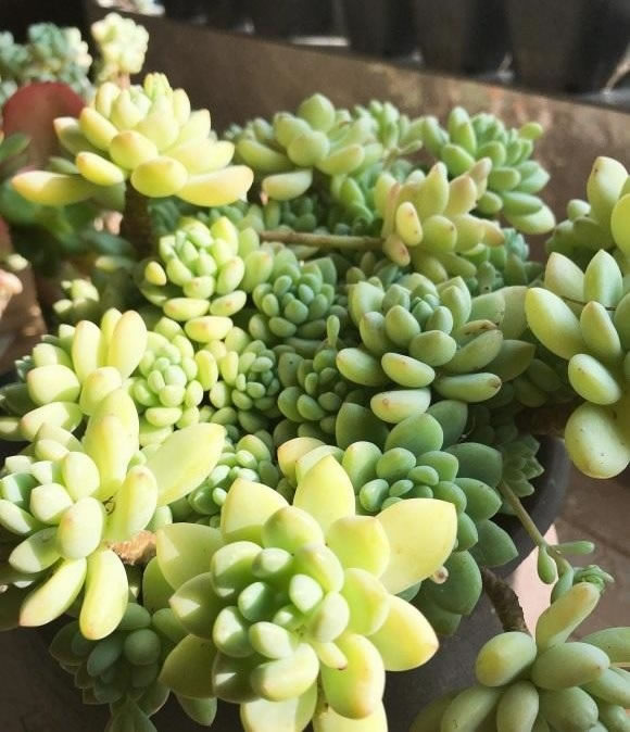 5fe05b2bca47d.jpg 02.jpg