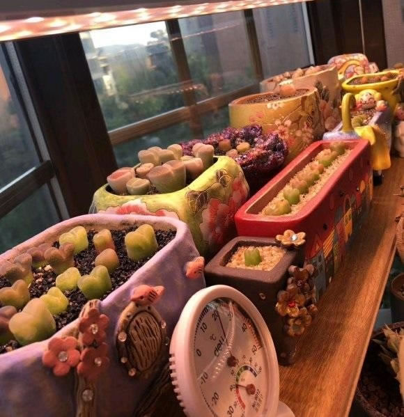 5fe05b406b66e.jpg 06.jpg