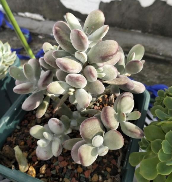 5fe05b49c01bd.jpg 07.jpg