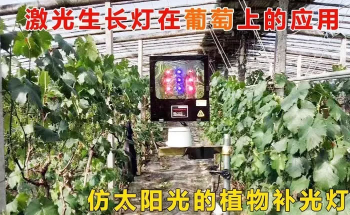 5fe2969b53277.jpg 02.jpg