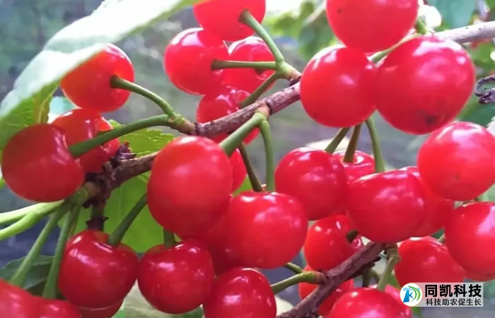 5fe2b348cc51d.jpg 03.jpg