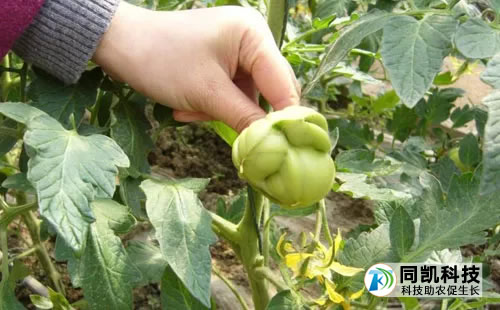 5fe3437dabef9.jpg 05.jpg