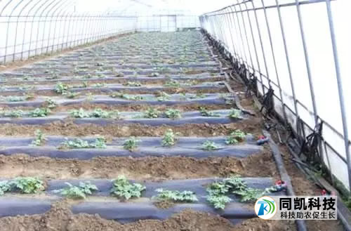 5fe343891a673.jpg 07.jpg