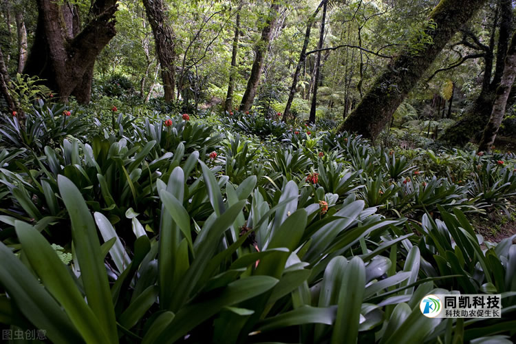 5fe9a1f48f39e.jpg 02.jpg