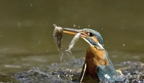 5fea9d3b8eb63.jpg 01.jpg