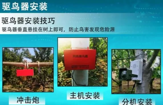 5fea9d6c07a84.jpg 05.jpg