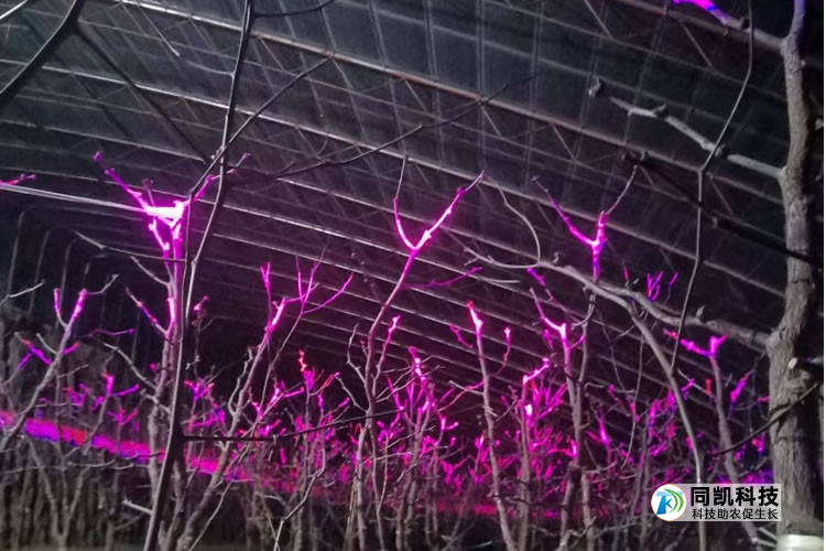 5feac9c1a92f7.jpg 02.jpg