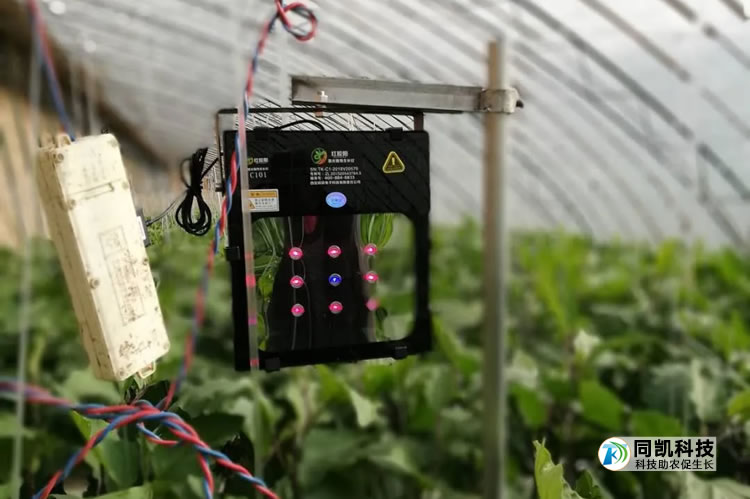 大棚内工作运行的激光植物补光装置 大棚内工作运行的激光植物补光装置