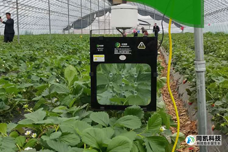 5fef2e7fc5348.jpg 02.jpg