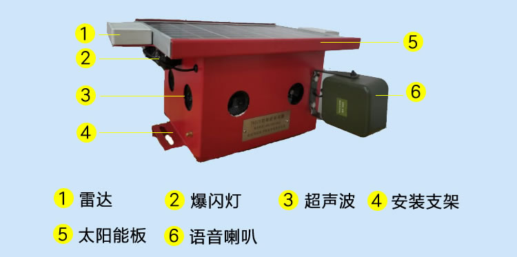 5ff535a1708ce.jpg n001.jpg