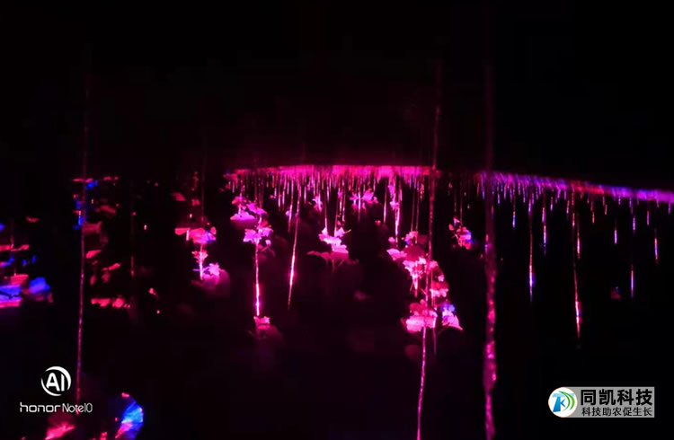 5ff7db9a66ea5.jpg 00002.jpg