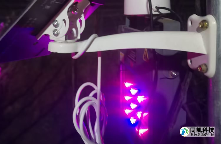 5ff7fca7284fb.jpg 02.jpg