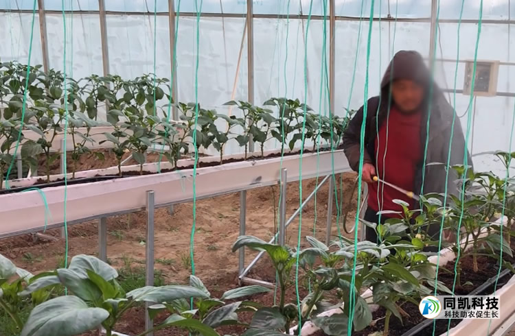 5ff804040c818.jpg 001.jpg