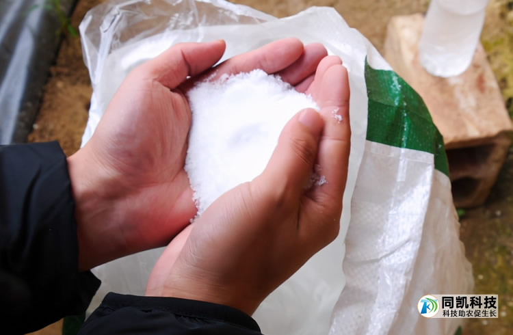 5ff8041d4905c.jpg 04.jpg