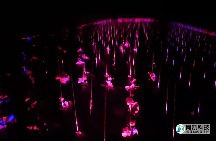 5ff8042897f3a.jpg 05.jpg