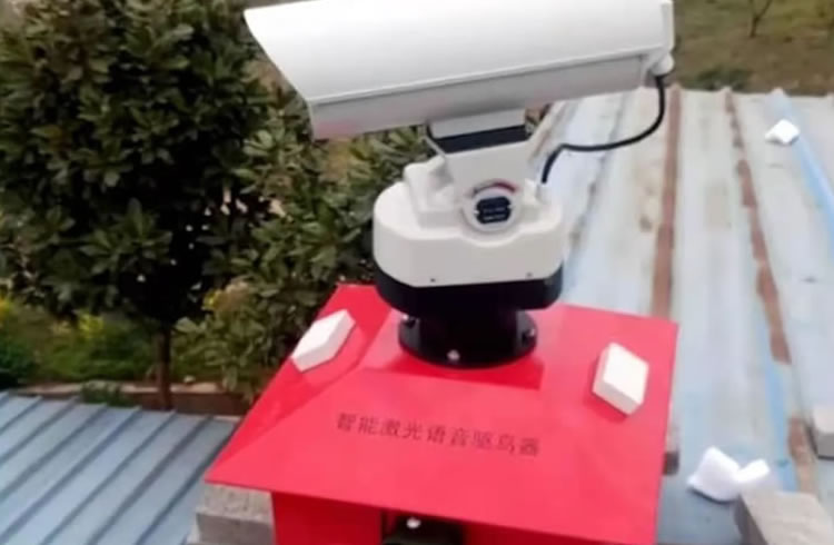 5ff9b81bce184.jpg 01.jpg