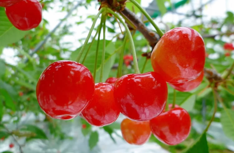 5ffbd4ceea07c.jpg 01.jpg