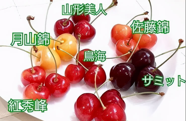 5ffbd4d6b548f.jpg 02.jpg