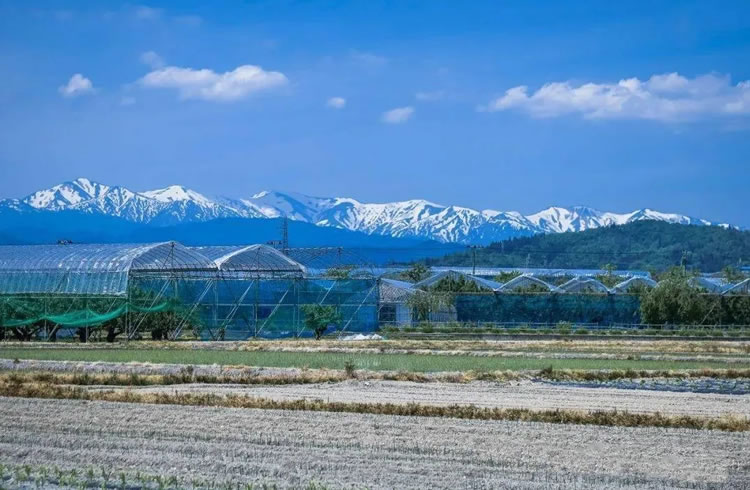 5ffbd518adcd8.jpg 03.jpg