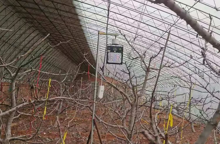 5ffbd53420fc1.jpg 04.jpg