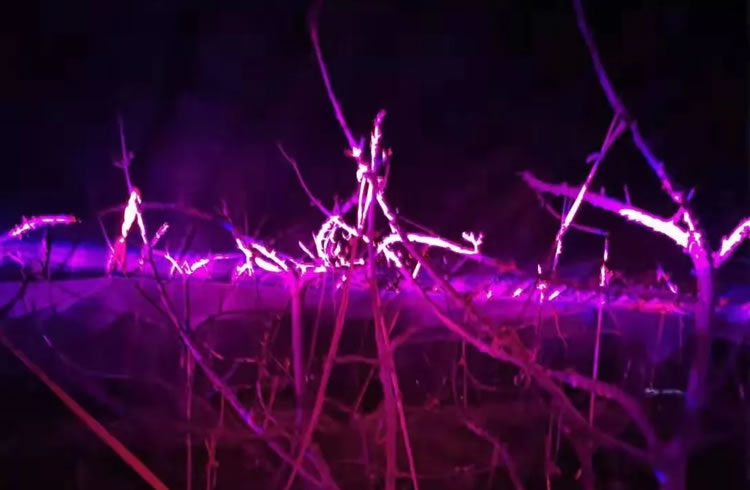 5ffbd548c08b7.jpg 05.jpg