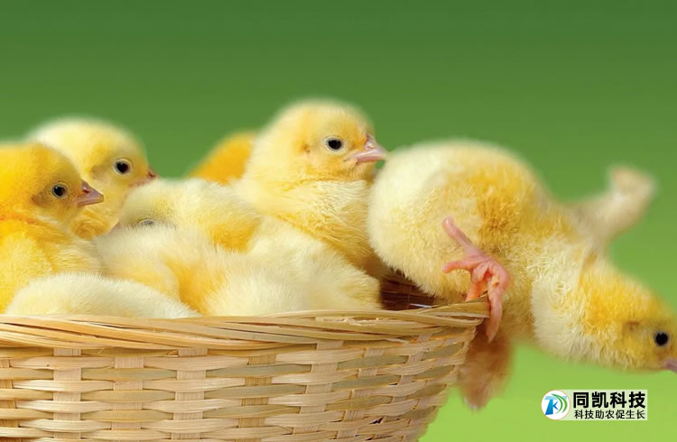 60003a6c5a0d6.jpg 01.jpg