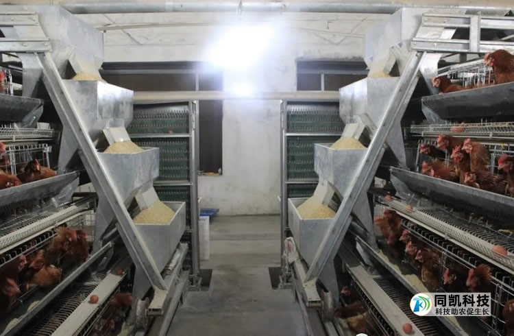 60003a7363817.jpg 02.jpg