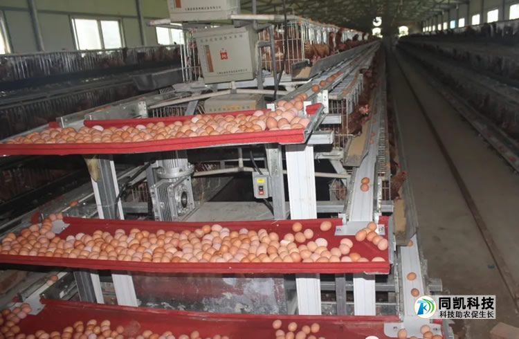 60003a7c7d3df.jpg 03.jpg