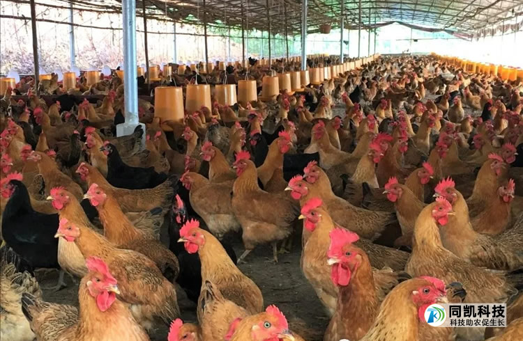 60003a8cd8ec2.jpg 05.jpg