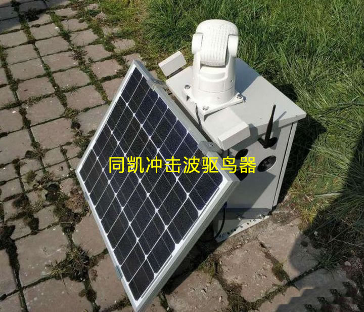 601ca63c94bee.jpg 2.jpg