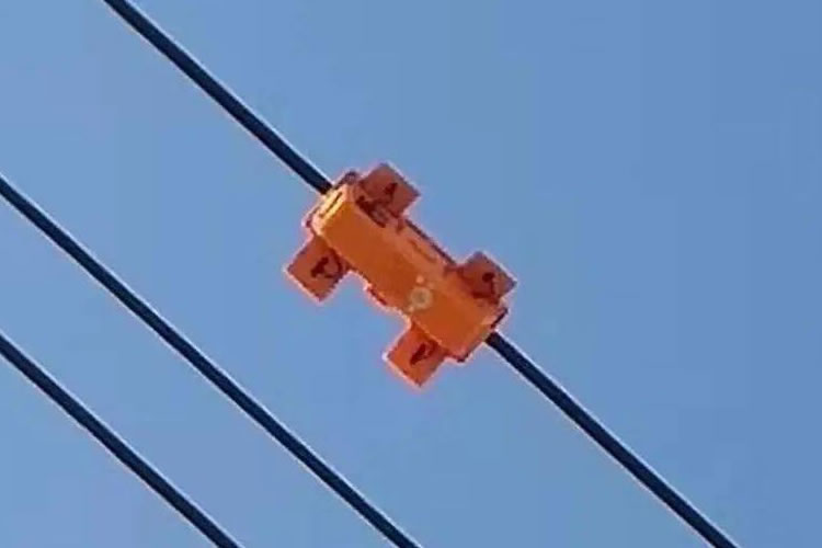 602921ff0623a.jpg 01.jpg