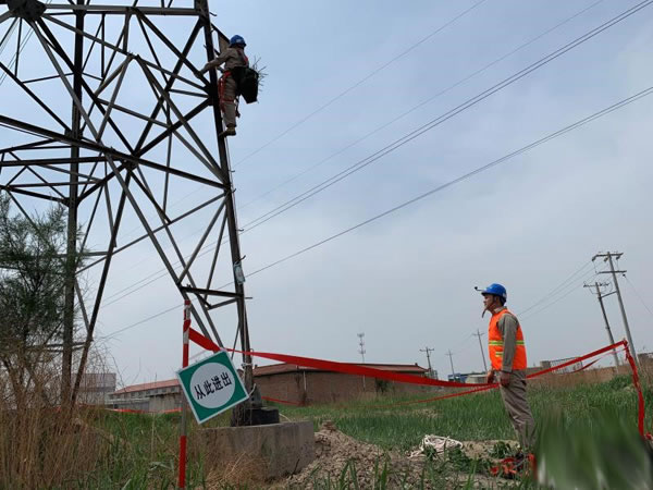 602a32ef175ef.jpg 01.jpg