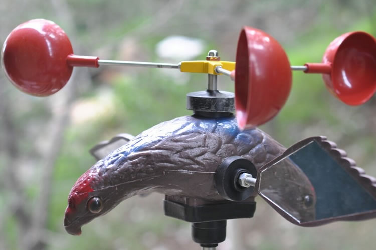 602f0dfad9bba.jpg 01.jpg