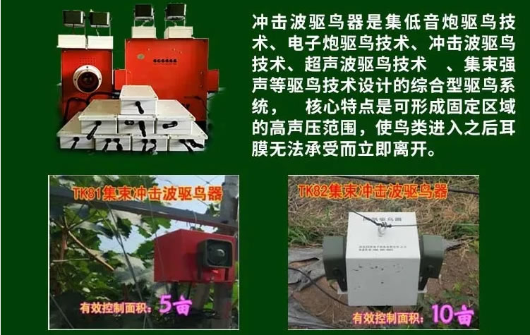 60321aa67cdd1.jpg 02.jpg