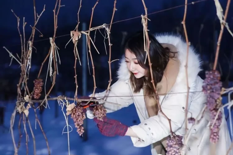 60321abf23abe.jpg 04.jpg