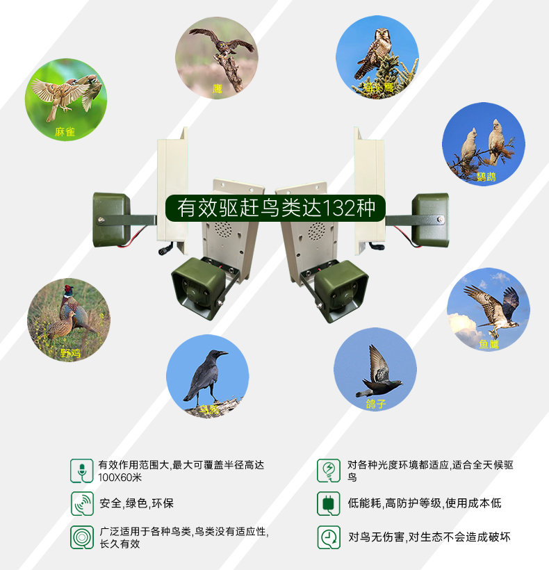 6059b16969be5.jpg 07.jpg