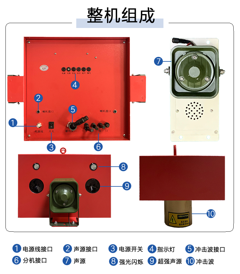 蓝莓有鸟害怎么办?