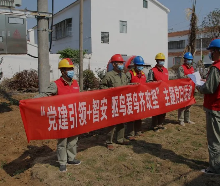 用电安全,湖北襄州供电新型驱鸟器上岗执勤