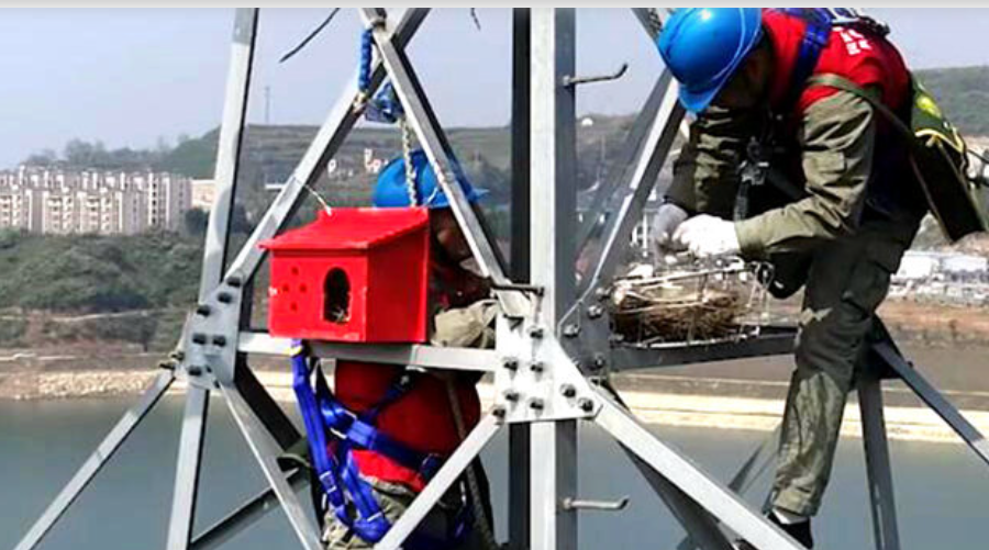 6269ee86ae2a4.png 6269ee86ae2a4.png