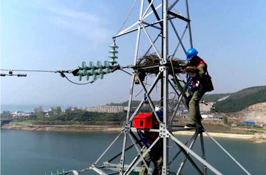 6269ef52718d0.png 6269ef52718d0.png