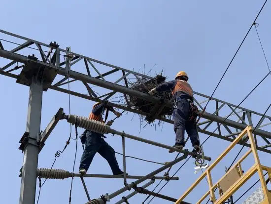 电力菜鸟电力技术从零单排